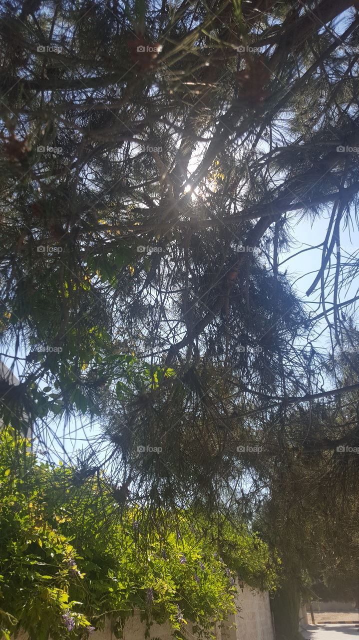 the light of the sun always find a way to reach you