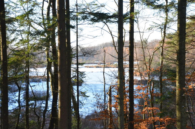 Frozen lake
