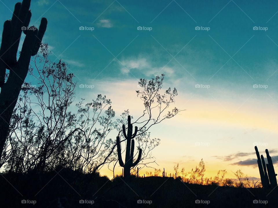 Arizona skyline