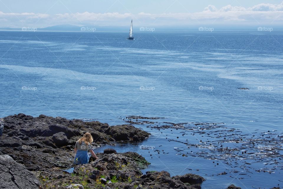 Rocky shore