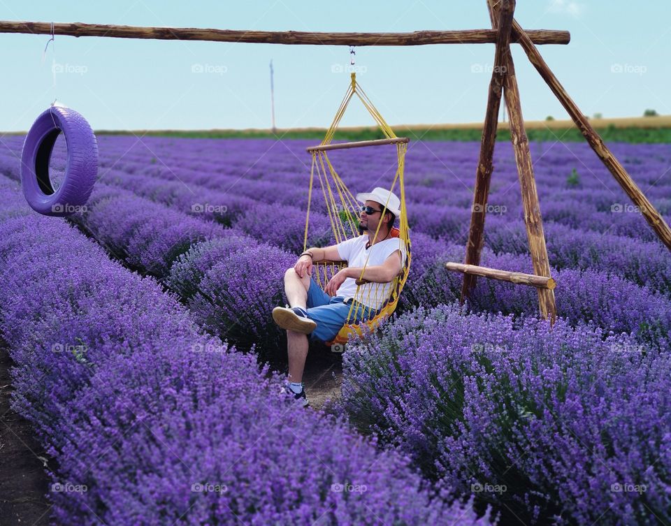 Rest in the sea of lavender