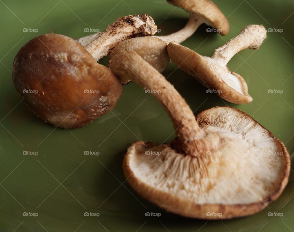 Food. Shiitake my Shrooms