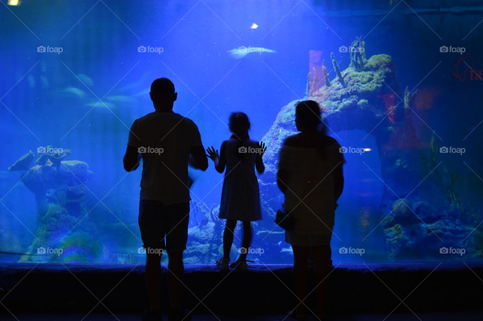 family at the aquarium