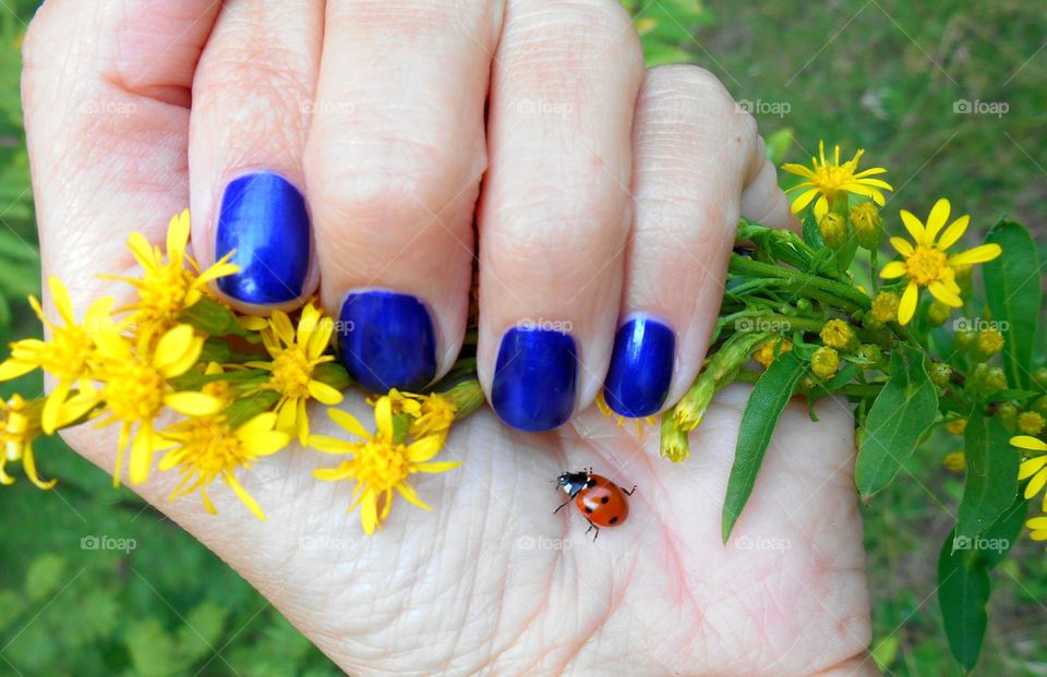 female hand and yellow flowers with ladybug, love earth