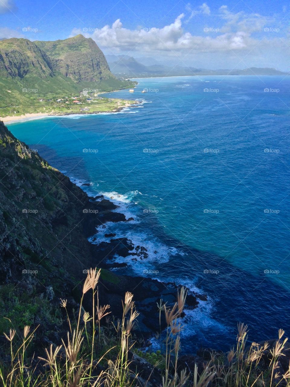 Makapu'u Cliffs 