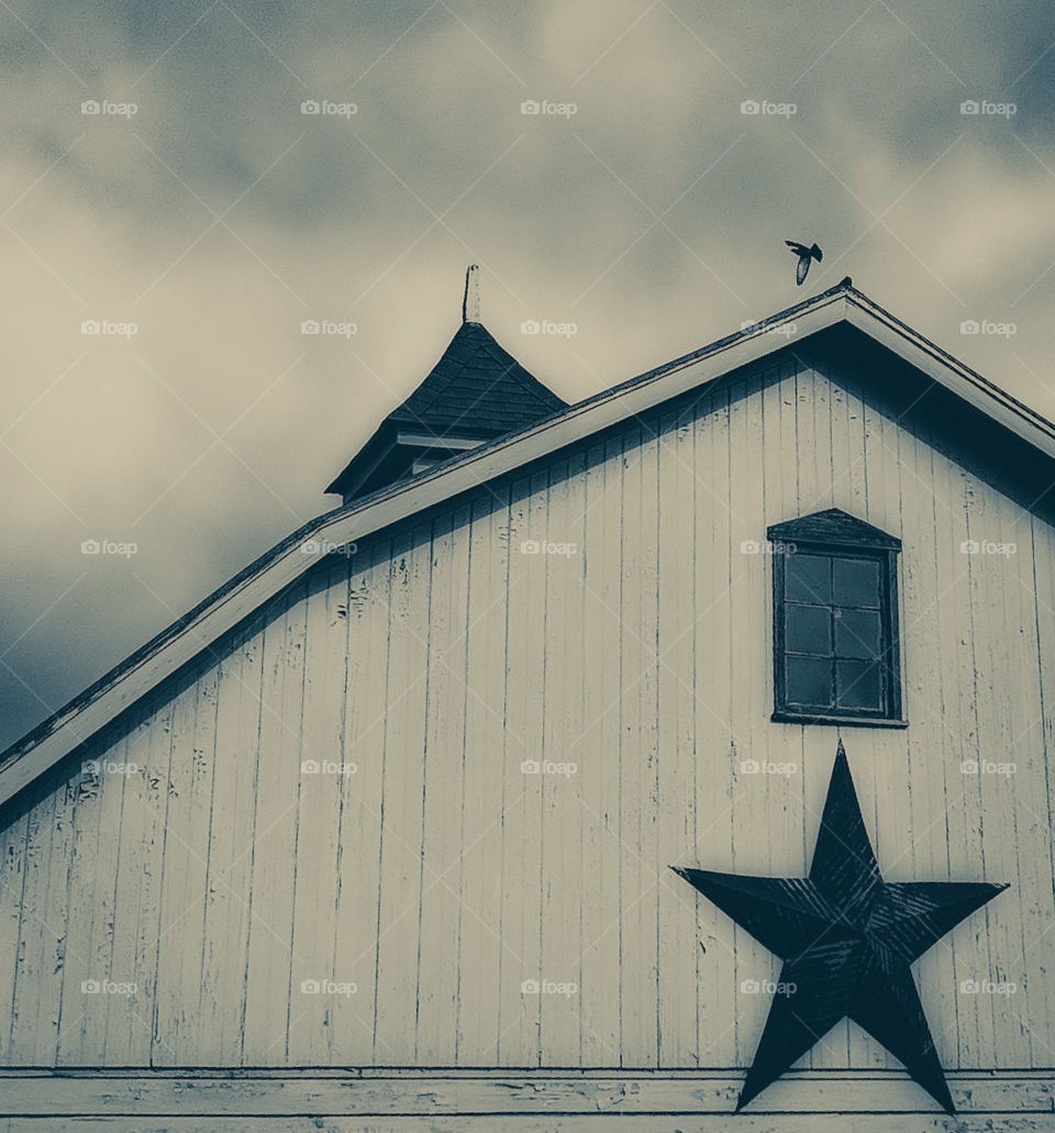 barn steeple with a bird in black and white