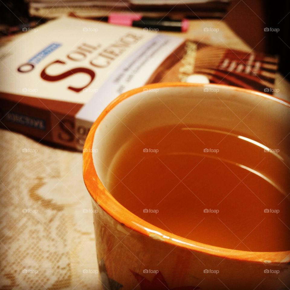 Green tea break between study sessions
