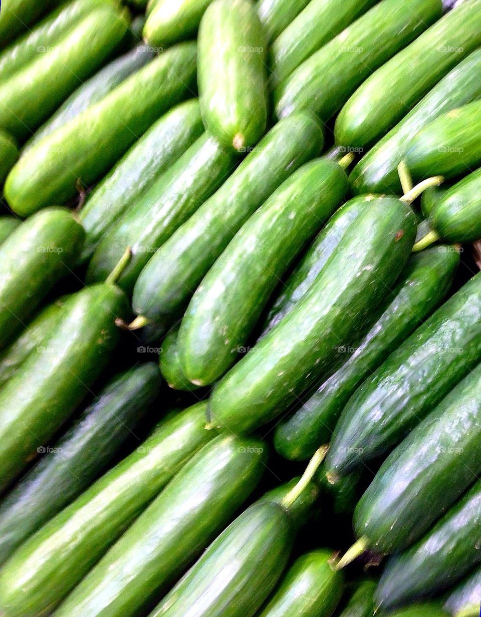 Organic Fresh Lebanese Cucumbers