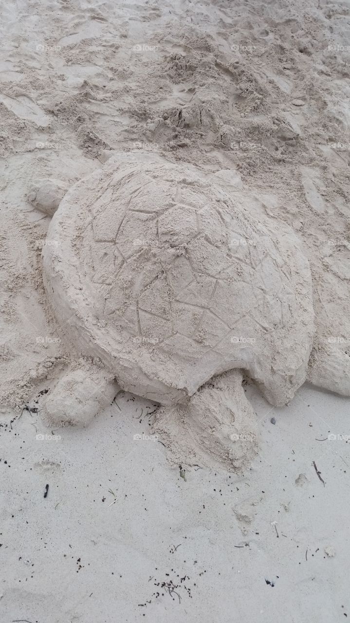Turtle sand castle
