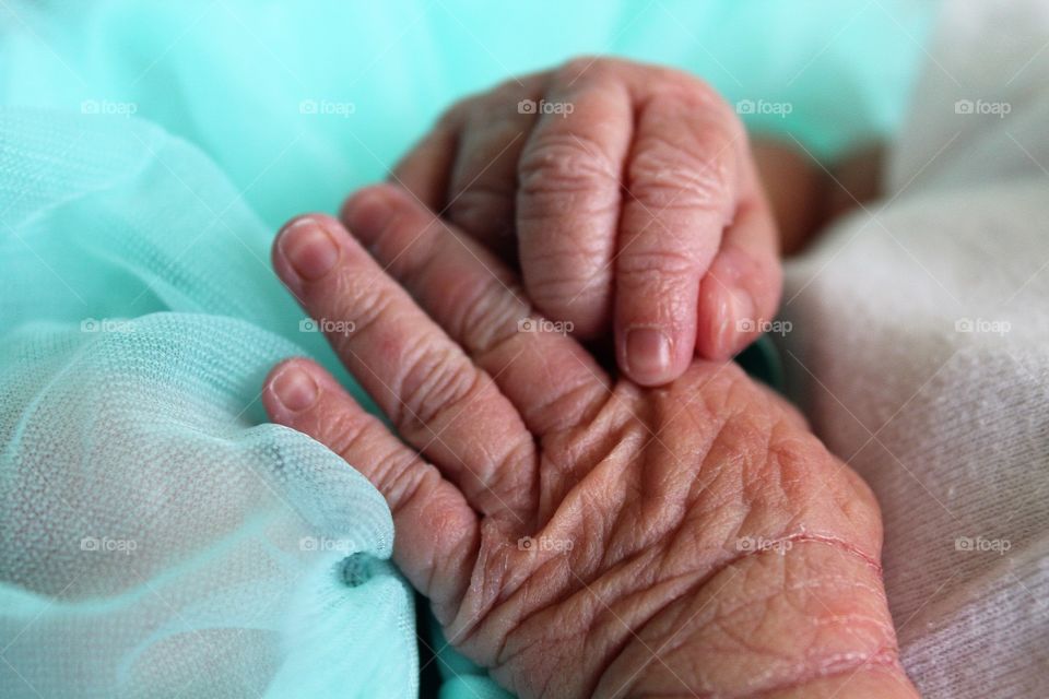 Newborn hands