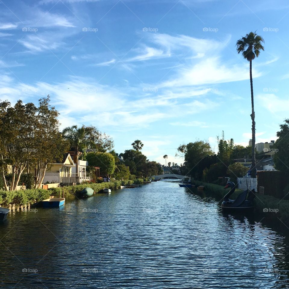 Venice in California