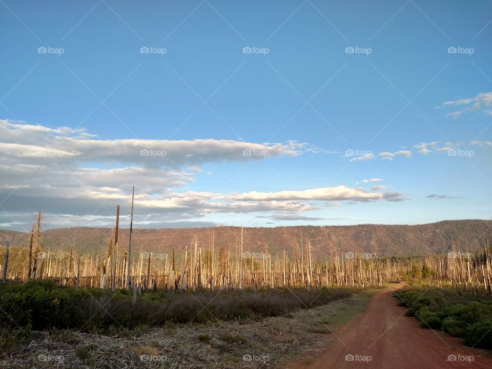 Central Oregon Mountains