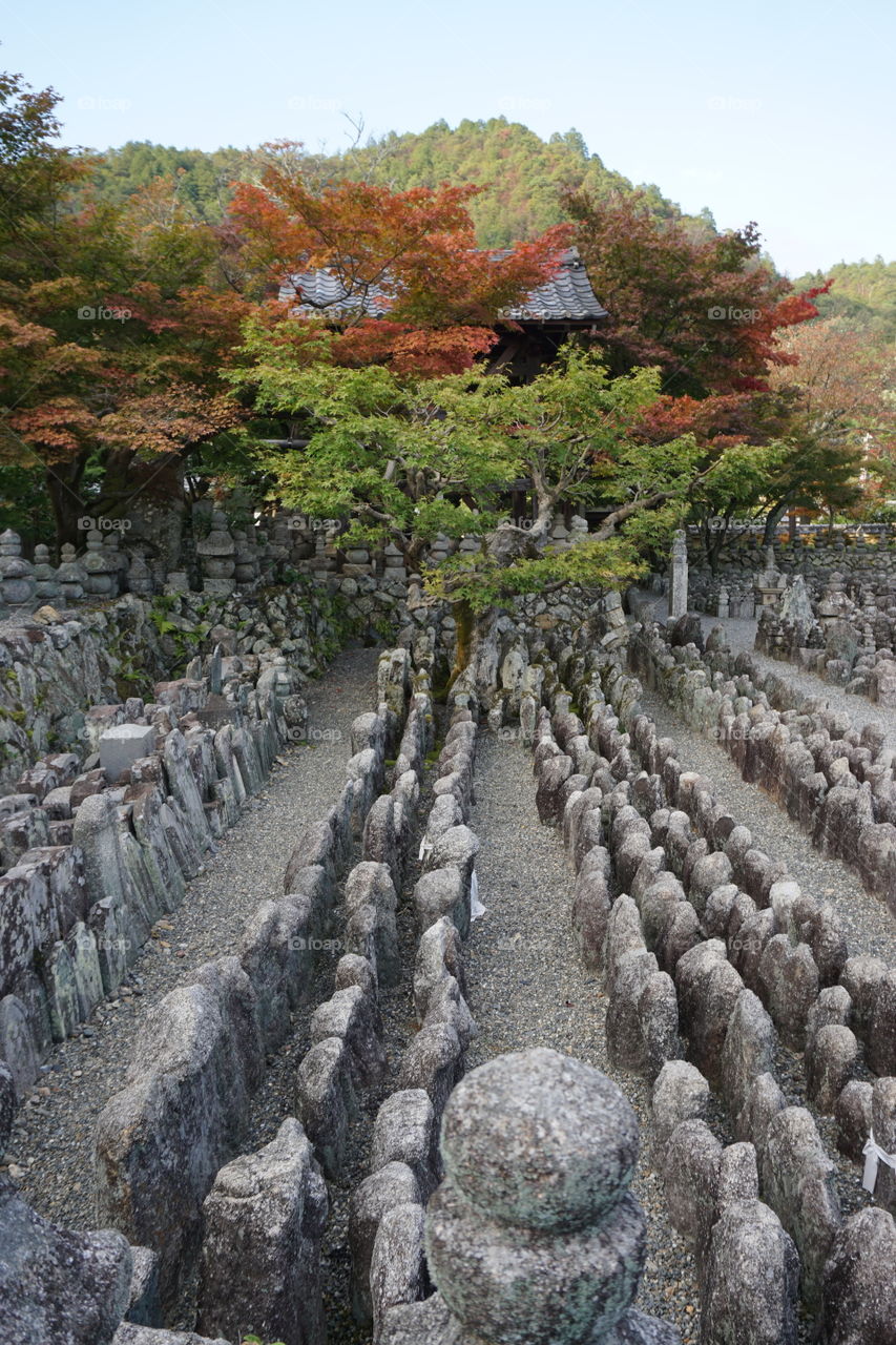 Adashino Nenbutsu-ji temple and cemetery 
