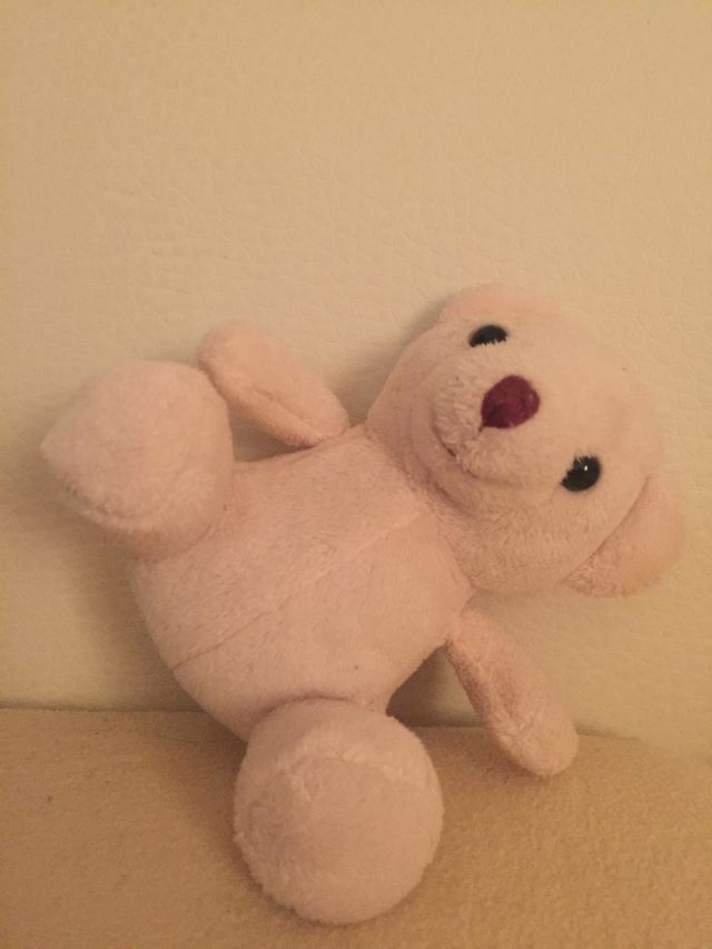 Teddy 
