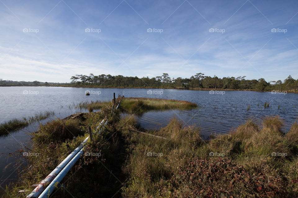 Reservoir in the forest 