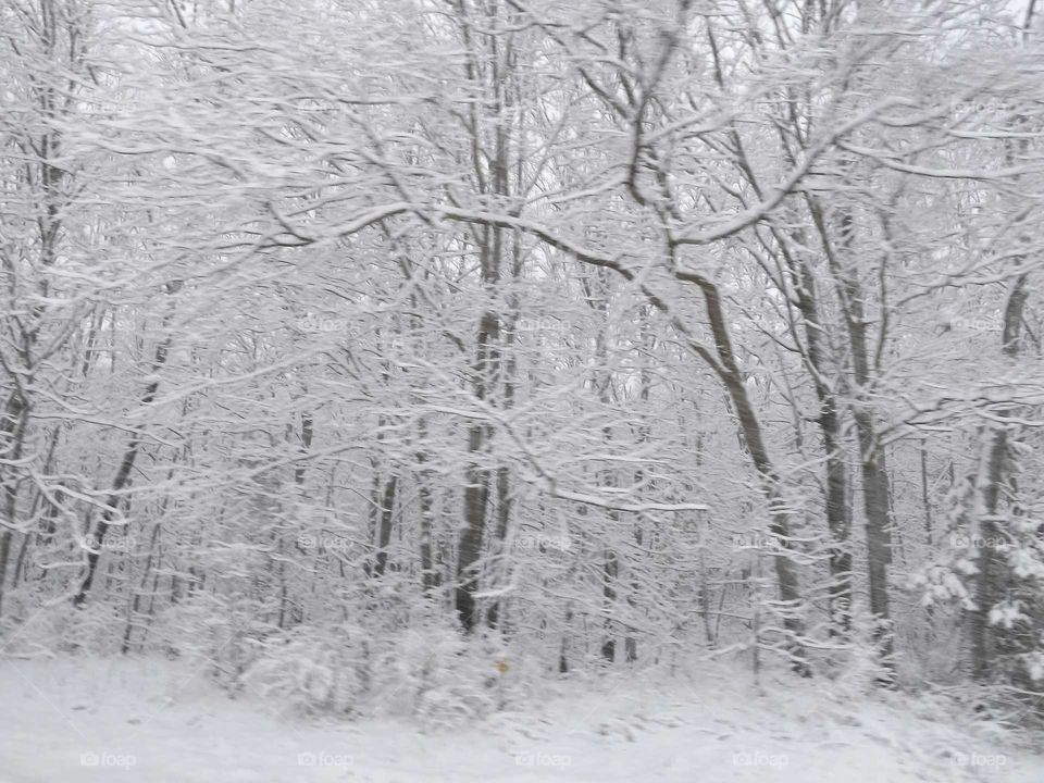 A fresh snow fall