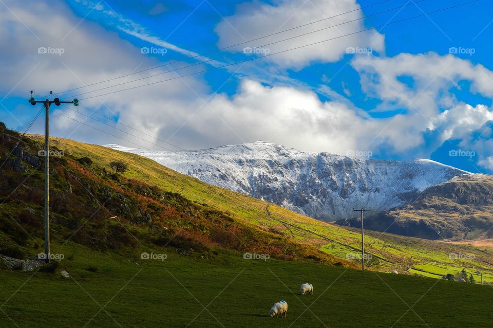 snow capped mount snowdon over green field