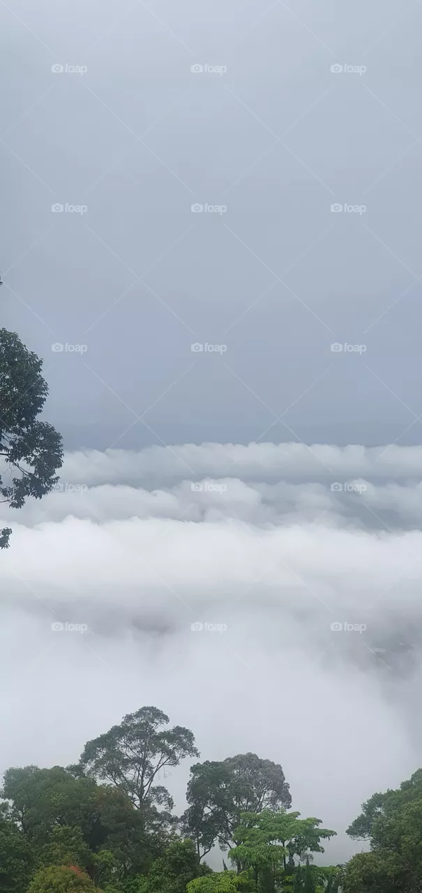 cloud