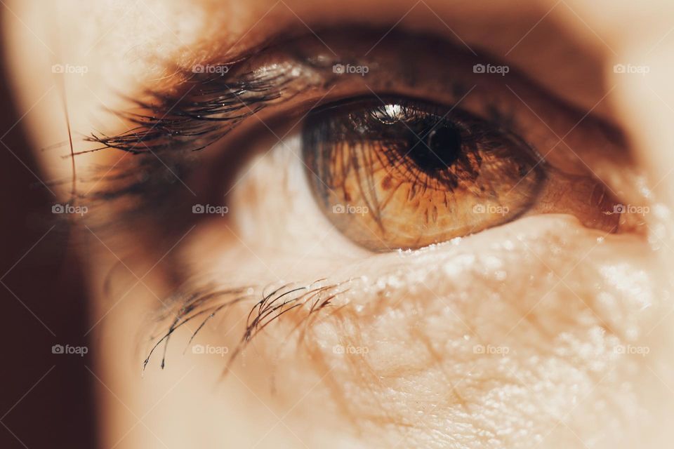 close up view of woman eye