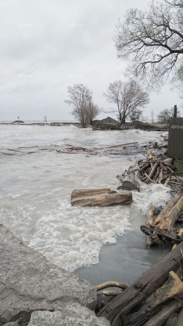 Look what the storm dragged in.