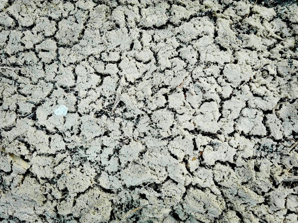 dry soil