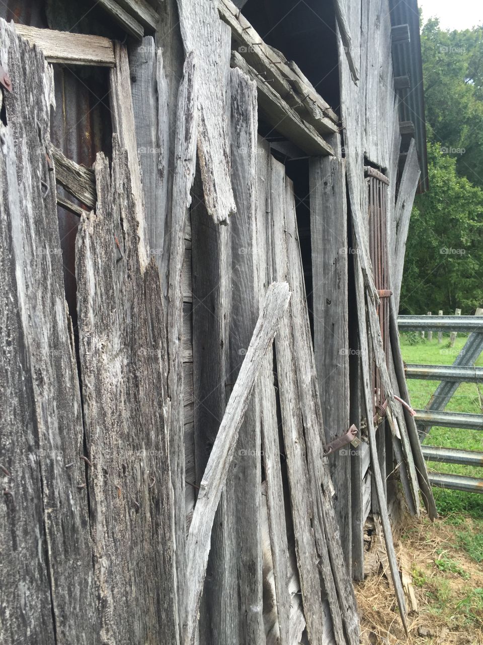 Weathered wood