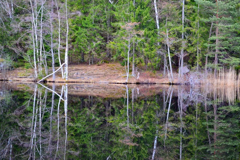 Reflections in the lake . Lake Mellansjön 