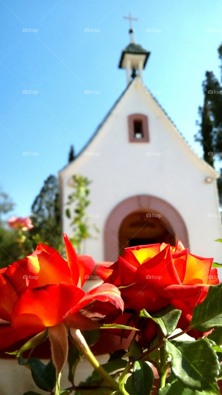 rosey church