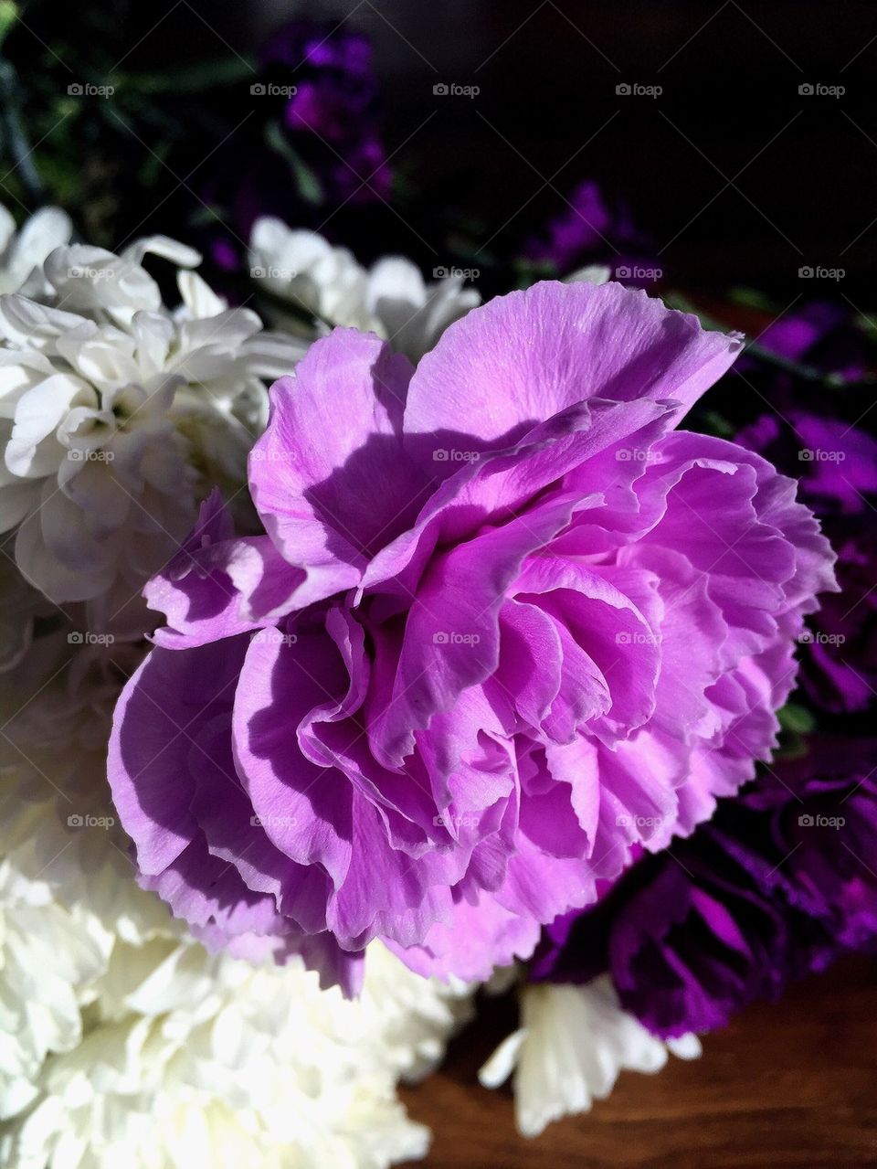 Purple and White Flowers