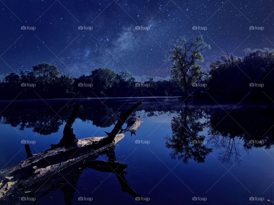 Silhouette of driftwood in lake during night