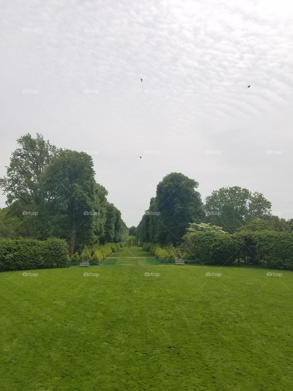 Landscape, Golf, Tree, Grass, No Person