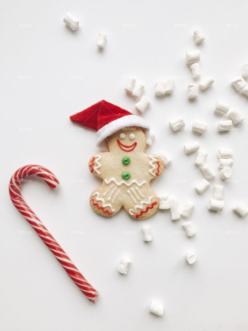 Prepping snacks for Santa 