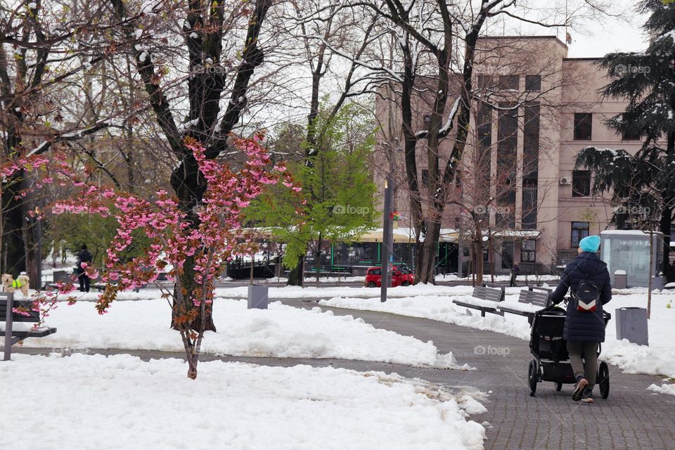 A snowy day in April