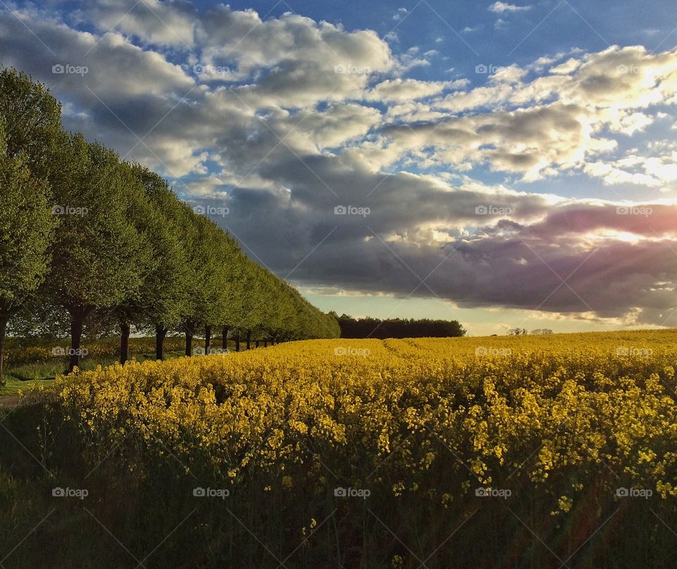 Sunrays through the clouds