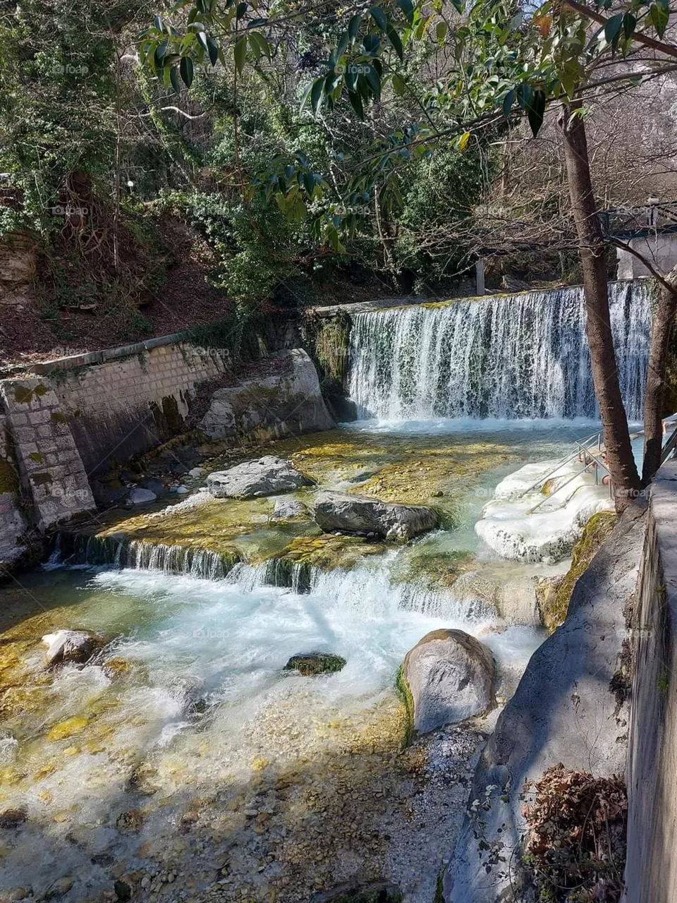 nature