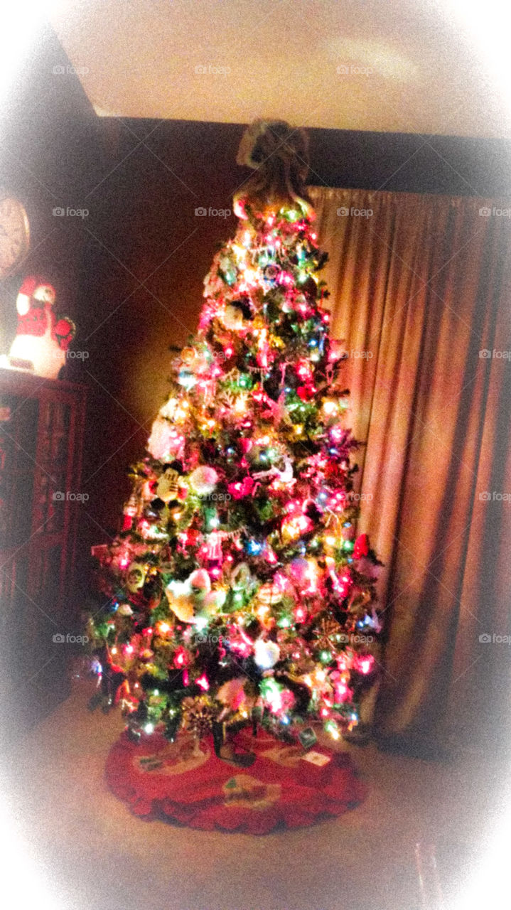 My tree