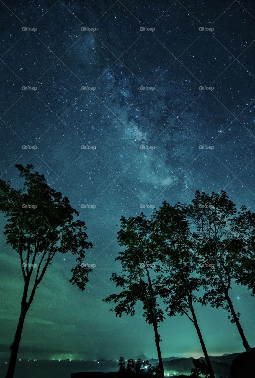 Beauty milky way scene above silhouette of tree