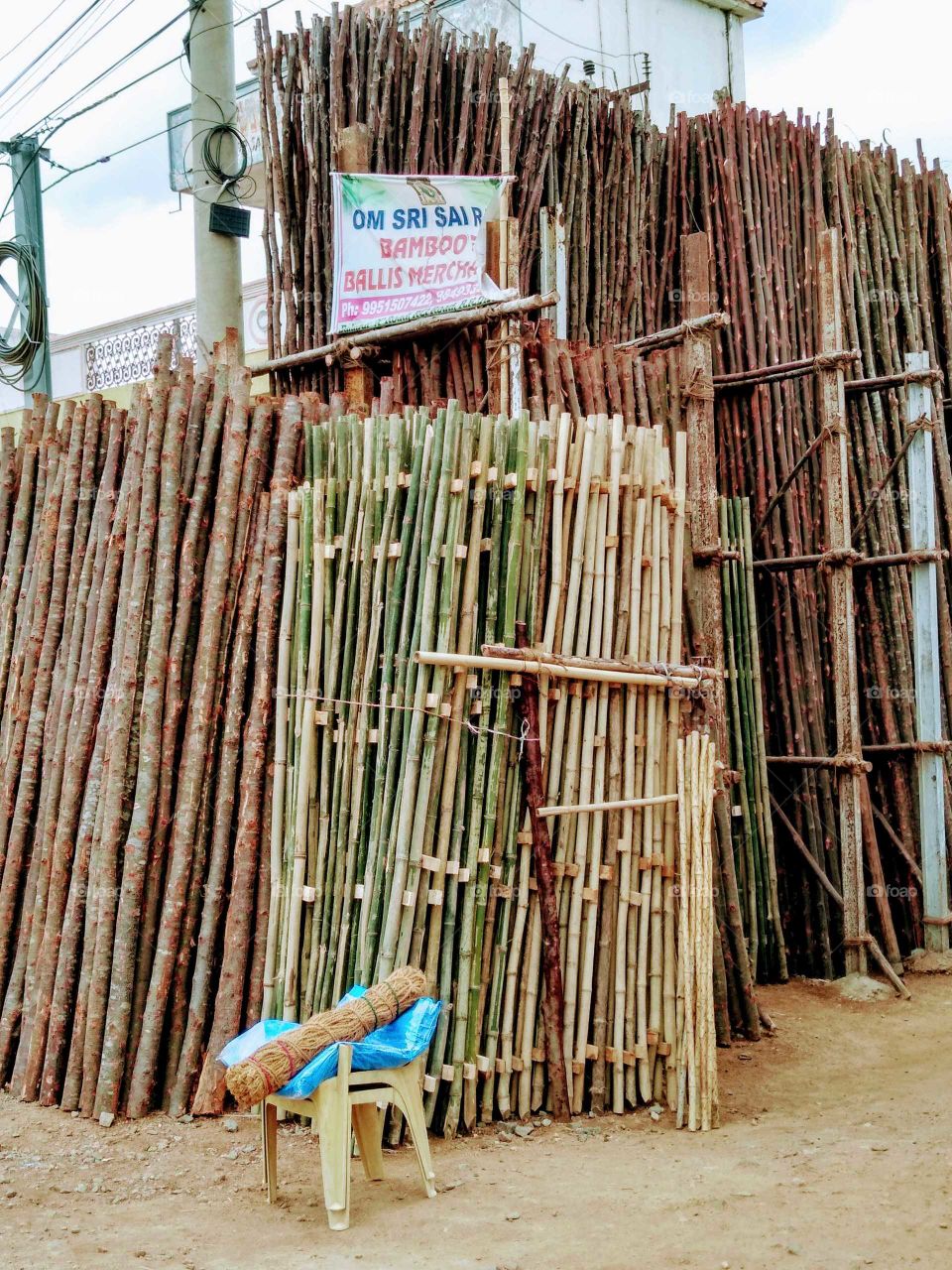 variety of bamboos used for constructions
