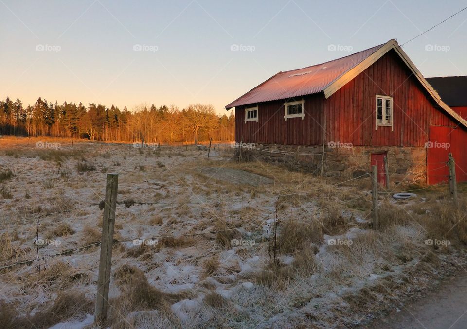 Winter scenery