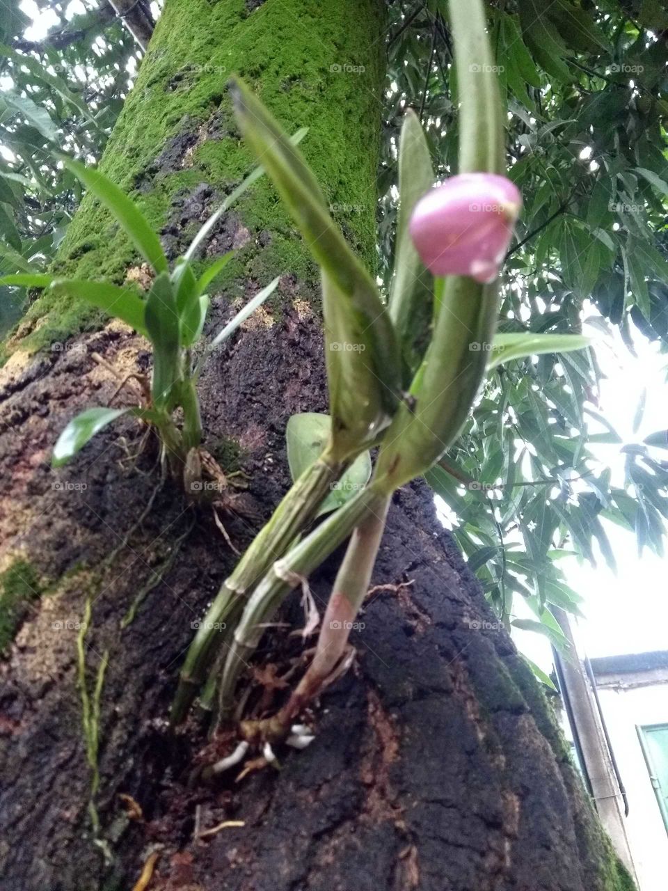 Fenômenos da natureza