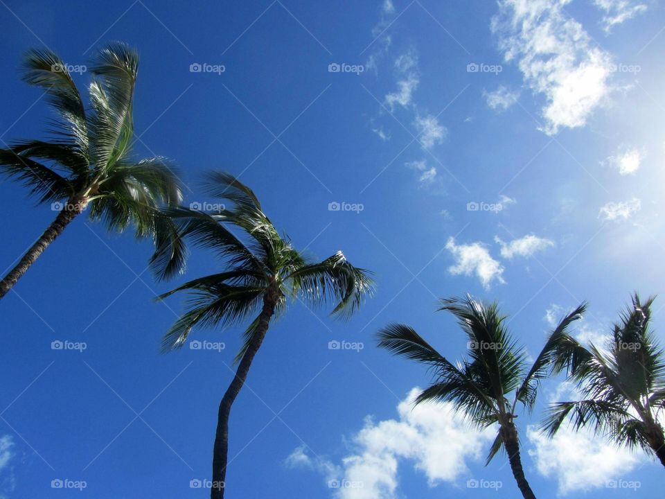 Beautiful Mexican sky! 