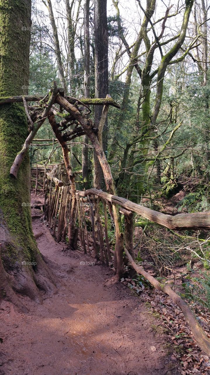 Puzzlewood