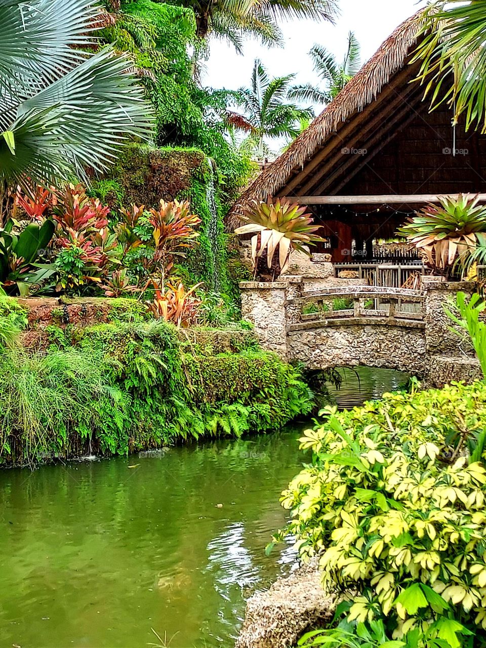 Homestead Florida Relaxing