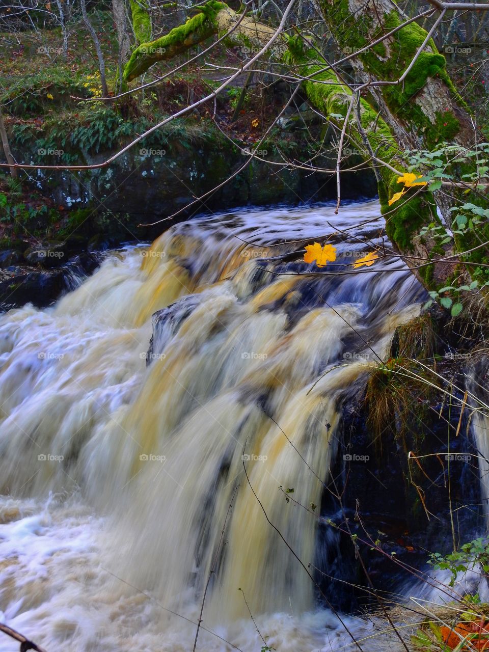 Waterfall