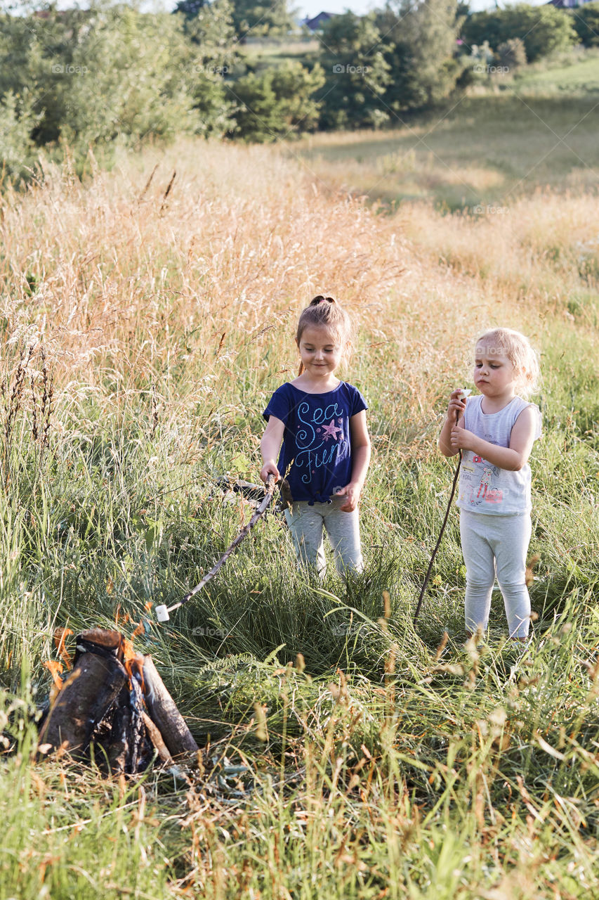 Little girls roasting marshmallows over a campfire on a meadow. Candid people, real moments, authentic situations