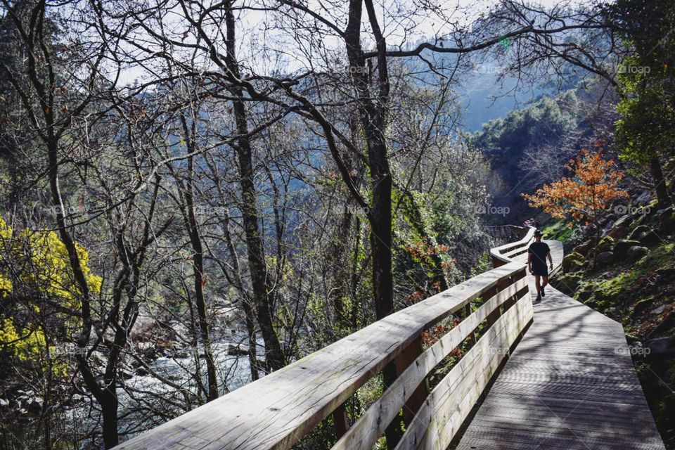 Trails into the nature