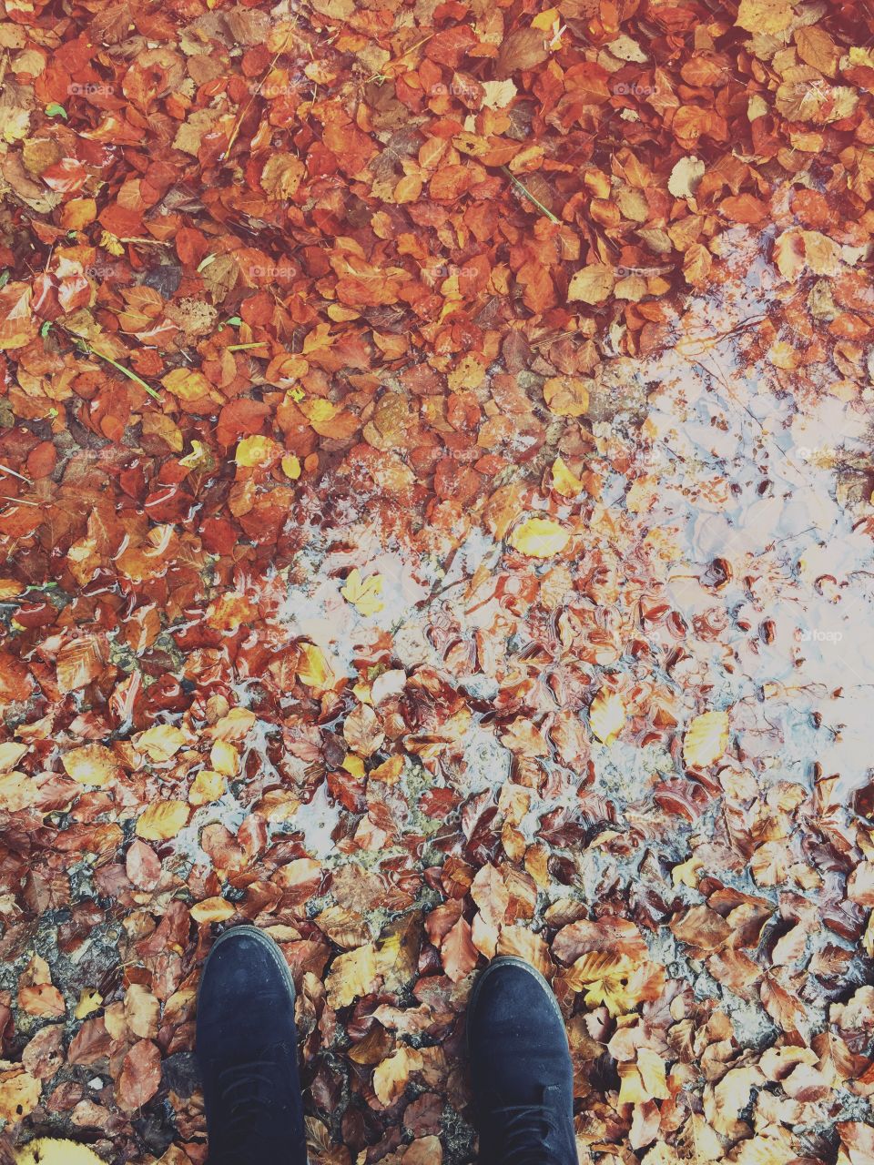 Low section of person standing on autumn leaves