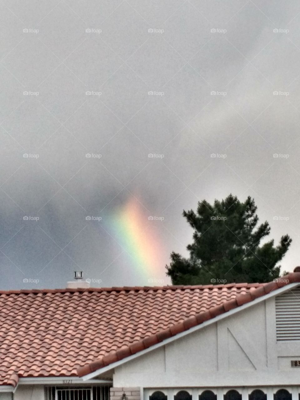 secret rainbows