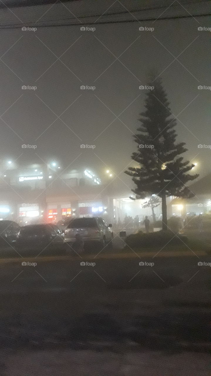 foggy night at the food park