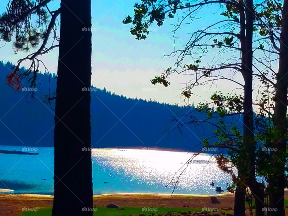 Philbrook lake,  California